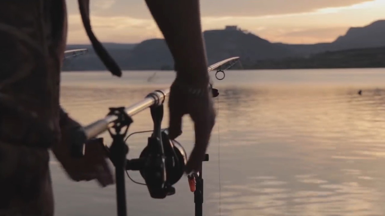 Fishing in Mequinenza &ndash; Fishing in Aragon