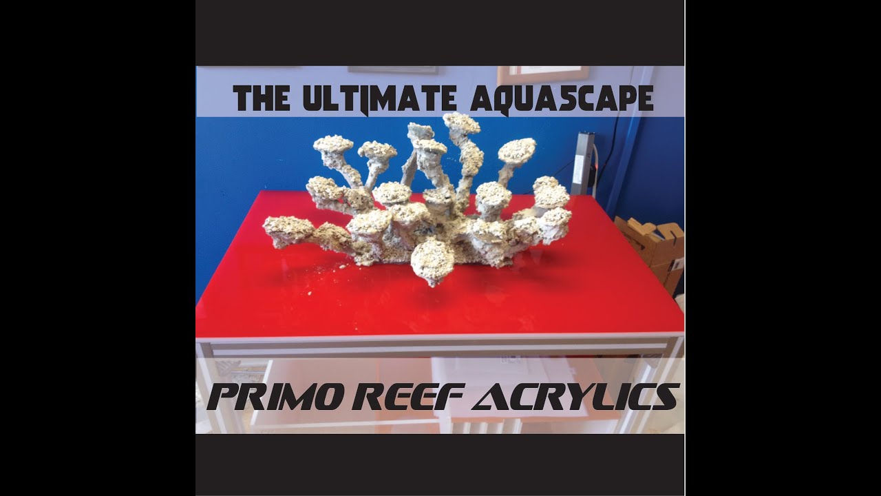 The ULTIMATE Aquascape