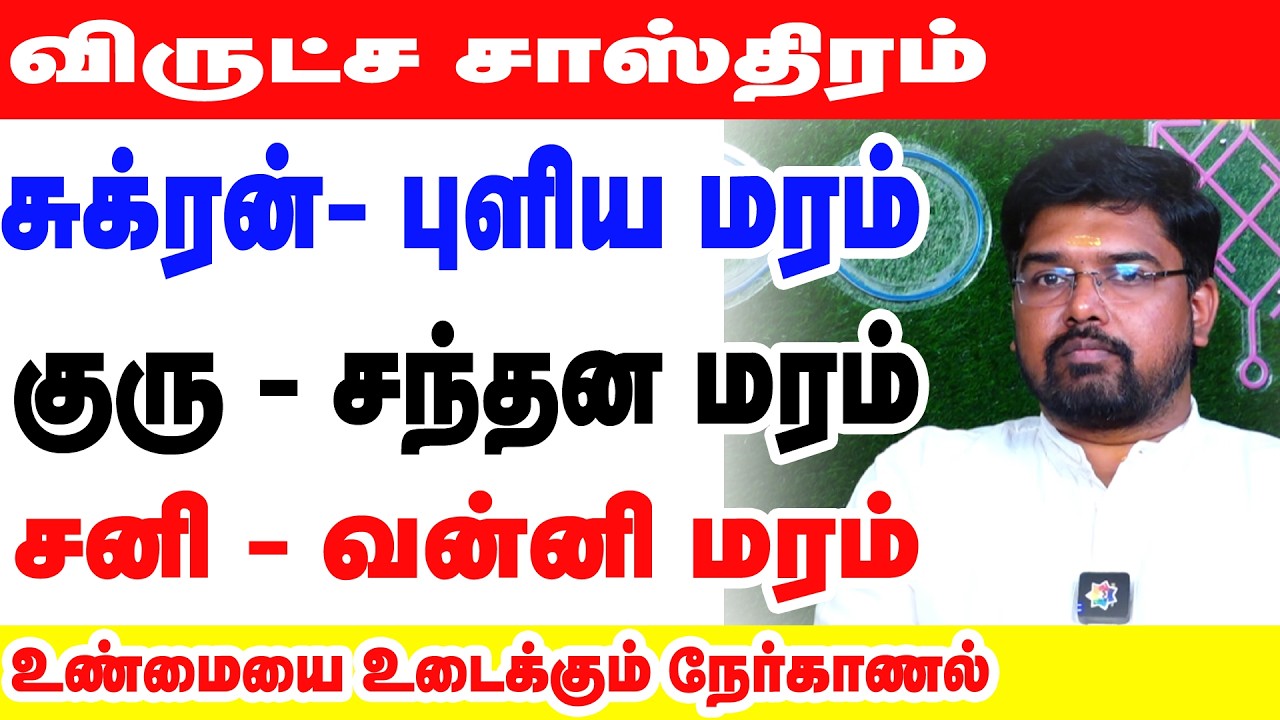 விருட்ச சாஸ்திரம் சுக்ரன்- புளிய மரம் குரு - சந்தன மரம் சனி - வன்னி மரம் உண்மையை உடைக்கும் நேர்காணல்