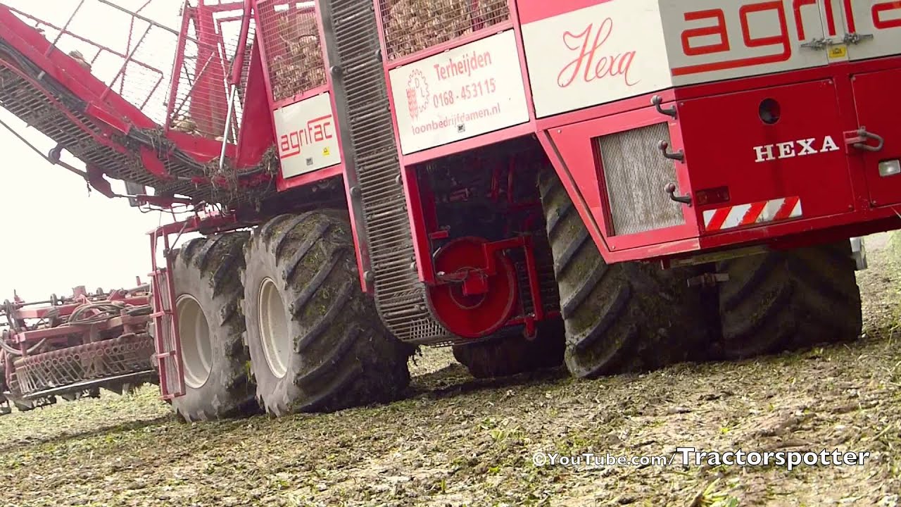 Agrifac Hexa 12 - 12 row sugar beet harvester - Loonbedrijf Damen Terheijden