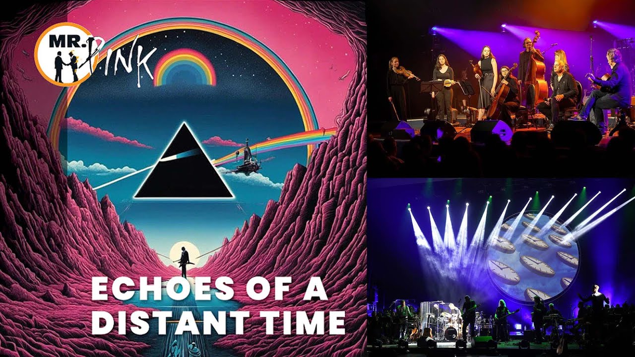 Echoes - Mr. Pink @  Museum Prinsenhof Delft, November 23rd 2024.