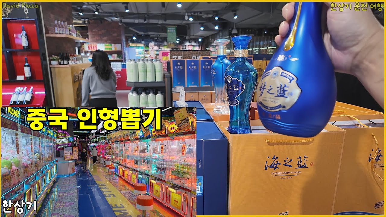 [BYD 출장 4부]정저우의 대형 쇼핑몰 데이빗 플라자 구경, 해지람 술 사기, 만원 쓰고 인형 하나도 못 뽑음 - 2025.11.14