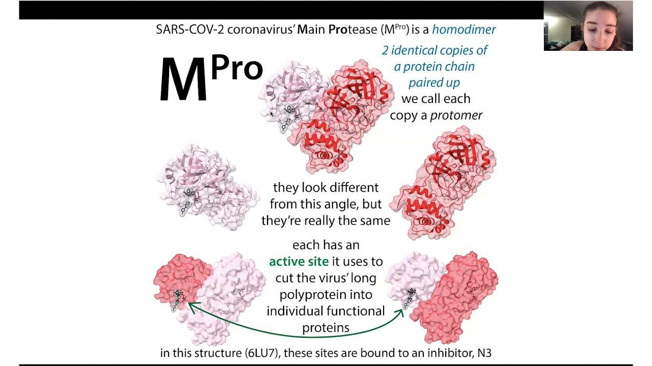 The basics & biochemistry of Paxlovid (Pfizer's covid pill, which is an MPro inhibitor)