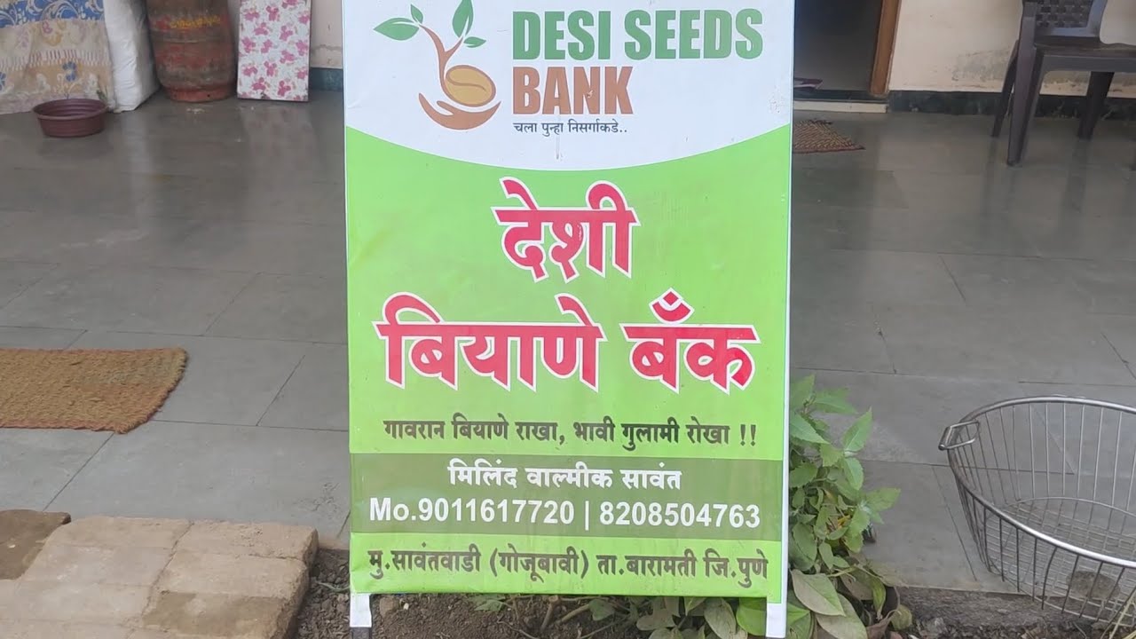देशी बियाणे बॅक मा श्री मिलिंद वाल्मिक सावंत मौजे सावंतवाडी ता बारामती जि पुणे 