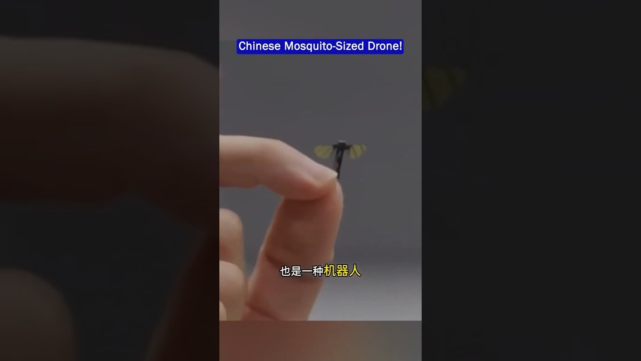 China&rsquo;s Mosquito-Sized Spy Drone &ndash;Smallest Battlefield Drone