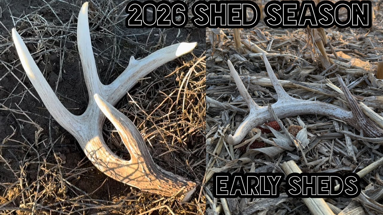 EARLY WISCONSIN SHEDS | SHED SZN 26 |