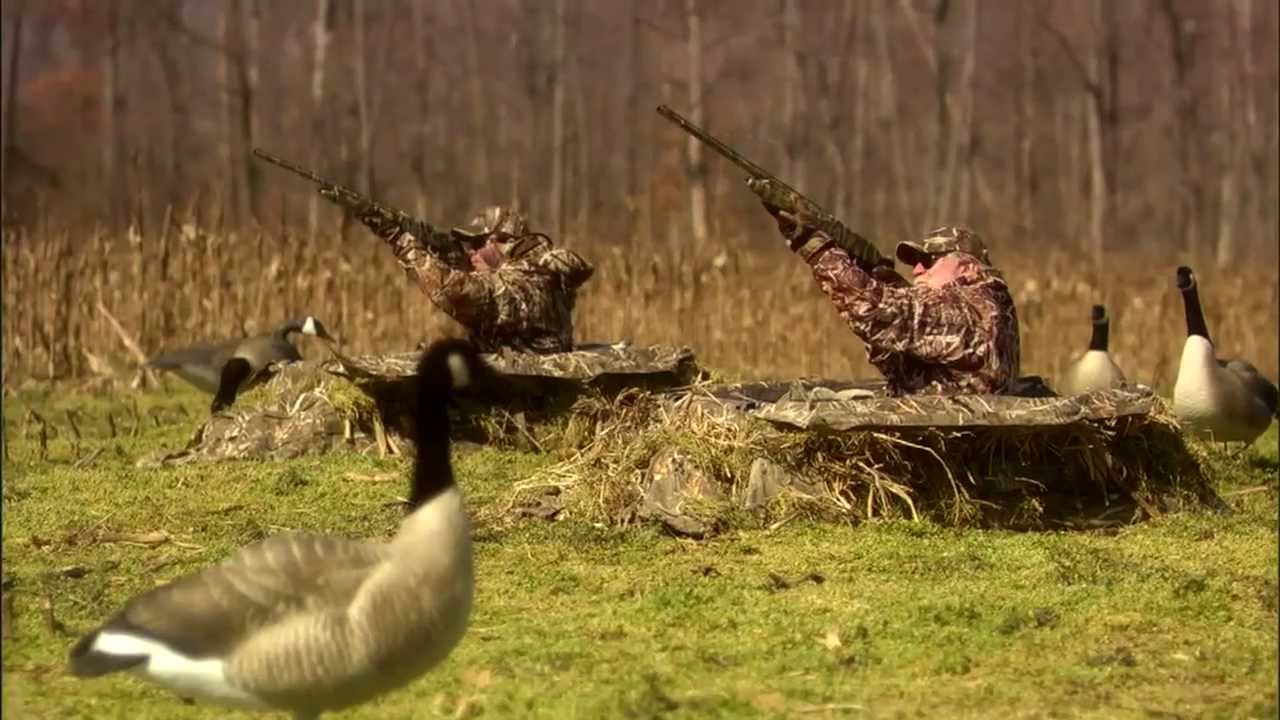 The Stoeger M3500 Shotgun