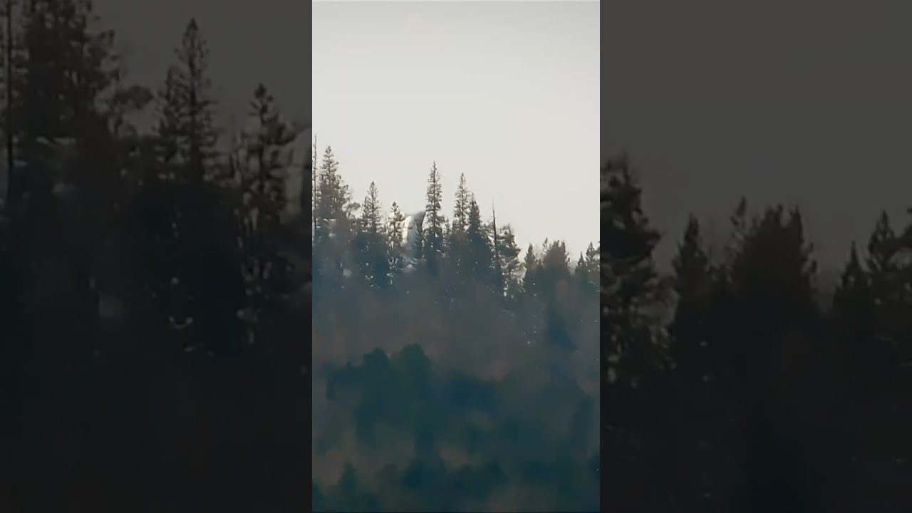 Зум 5 км 🤔 Весной Зверь ..Никон б-500