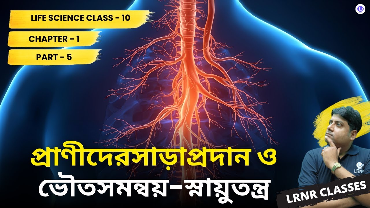 প্রাণীদেরসাড়াপ্রদান ও ভৌতসমন্বয়-স্নায়ুতন্ত্র (Part 5) Class10 Life Science Chapter 1 || LRNR Classes