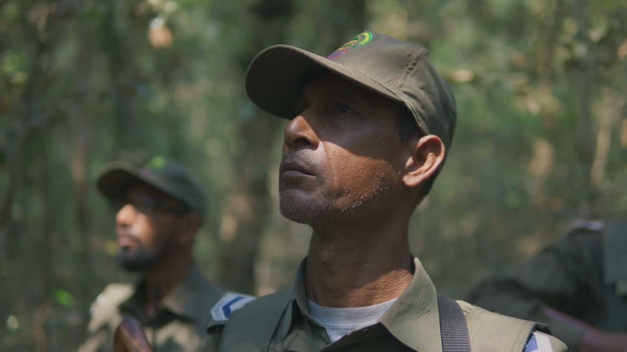 UNDP Bangladesh:  International Forest Day 2023