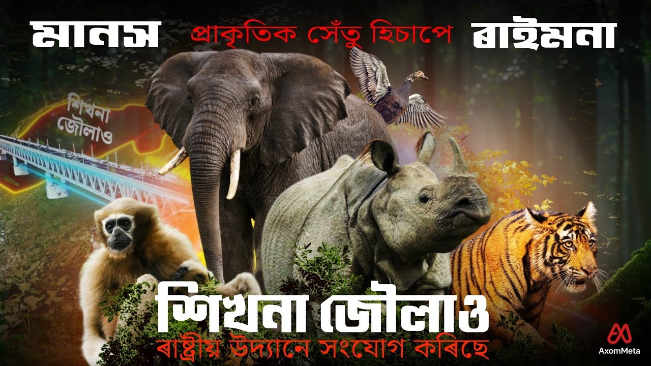 This National Park Connects Manas and Raimona | Sikhna Jwala Explained