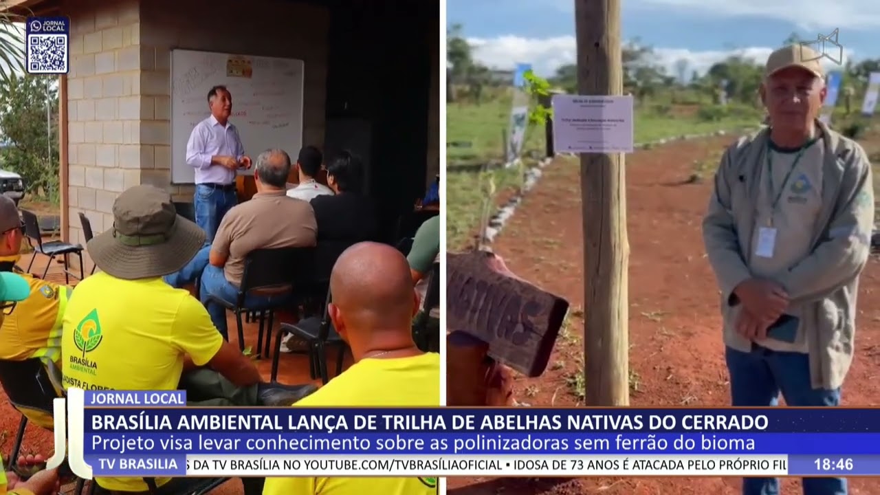 JL - Brasília Ambiental lança trilha de abelhas nativas do Cerrado
