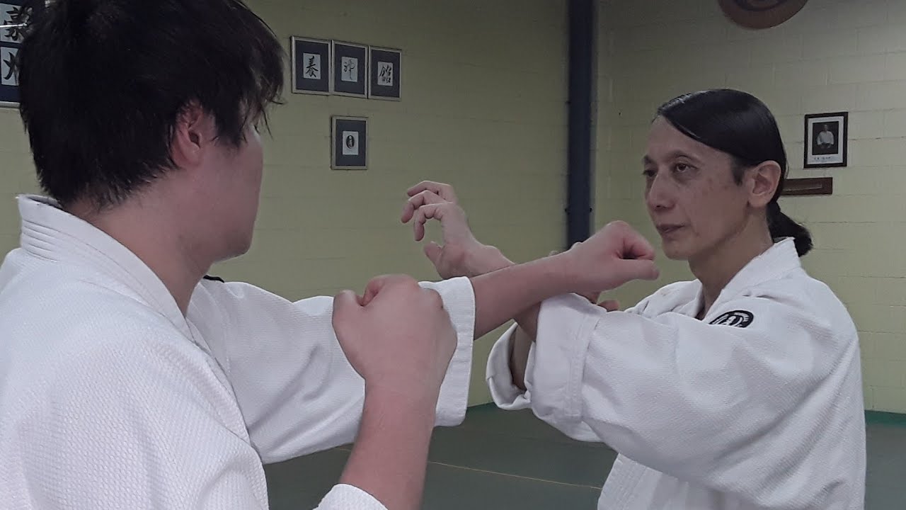 「 奥義！塩田剛三の合気」最後の内弟子 森 道治師範 八段   The Aiki Demo by  Mori Shihan 8th Dan  Aikido Yoshinkan AUS  2021
