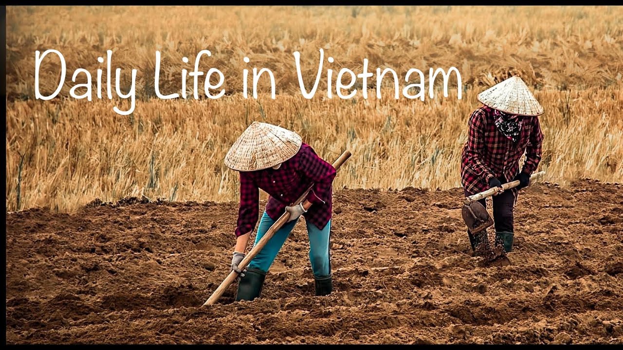 Series: travel changes you for better: daily life in Vietnam