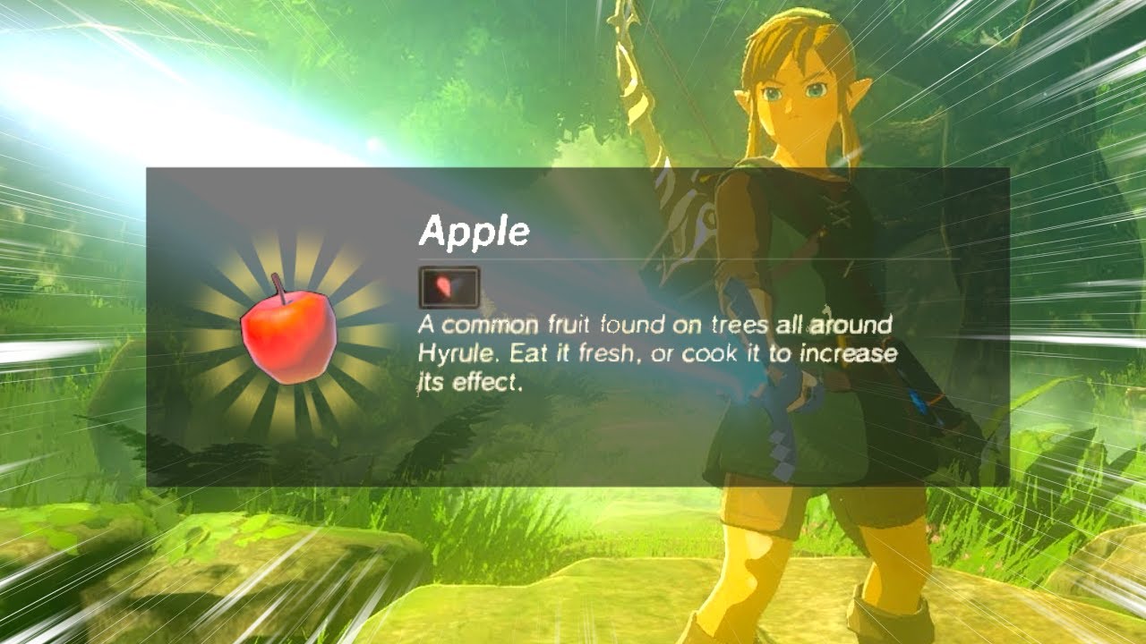 Can you beat Breath of the Wild with Random EVERYTHING?