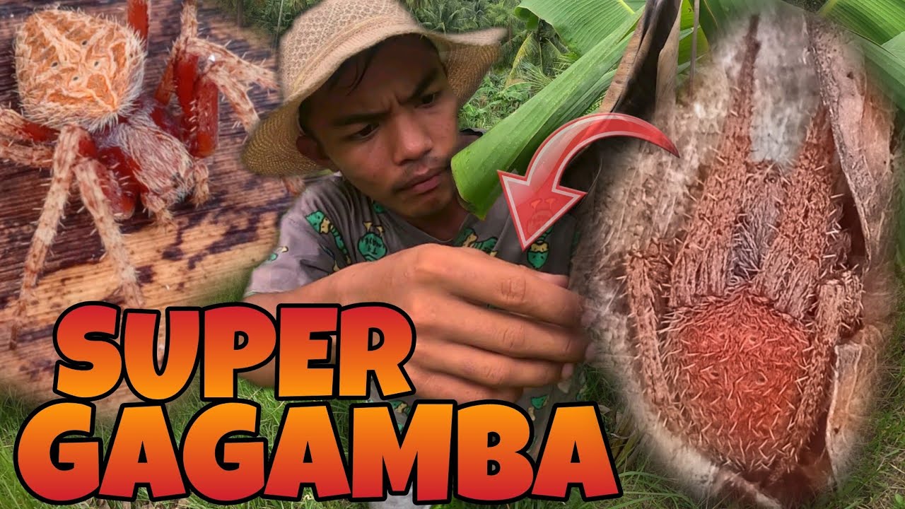 GAGAMBANG RED DEVIL SUPER MAMAW | SUPER GAGAMBA EPISODE 4