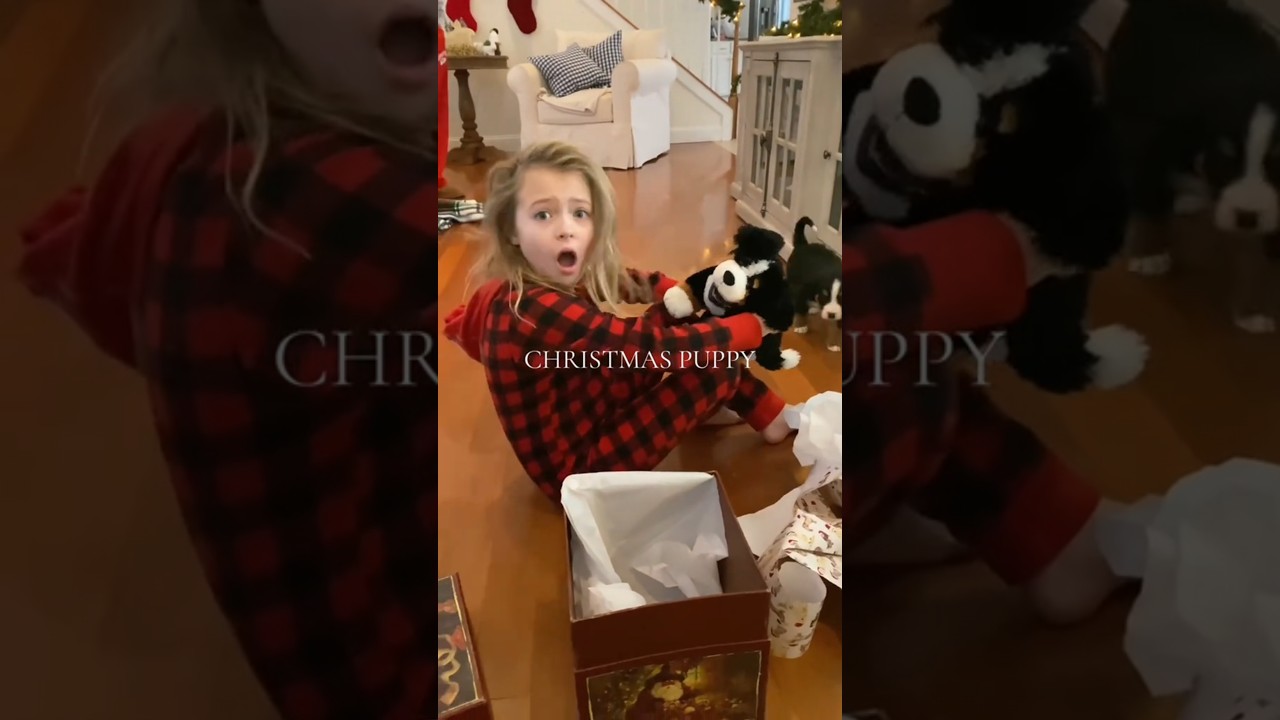 🐶 Puppy Gift for Kids 🎁| Emotional Moments 🥰 Pet Lovely Surprise 👶🏼 