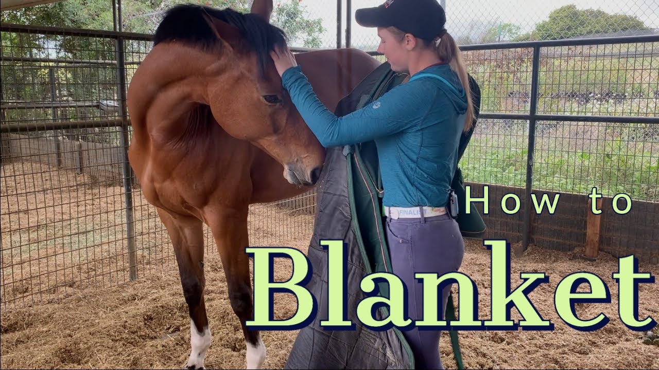 How to Blanket and Unblanket Your Horse