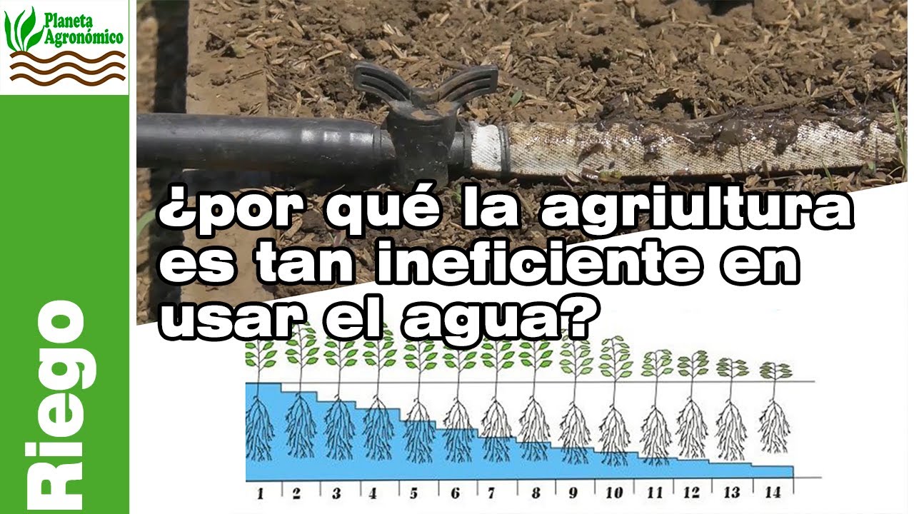 ¿Por qué la agricultura es tan ineficiente en el uso del agua🌿  Más que la industria💡