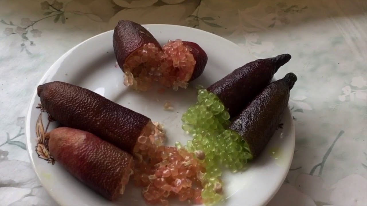FingerLime Pink Ice, Alstonville, Mierose, Sanguineo, Papuana, Arance Rosse di Sicilia.