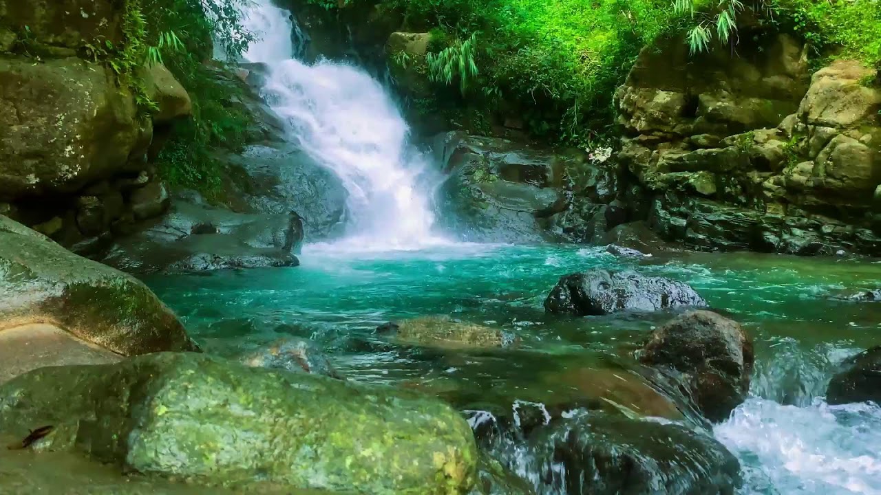 САМЫЙ УСПОКАИВАЮЩИЙ ЗВУК НА ПЛАНЕТЕ 💧 Чистый лесной ручей — Глубокая релаксация