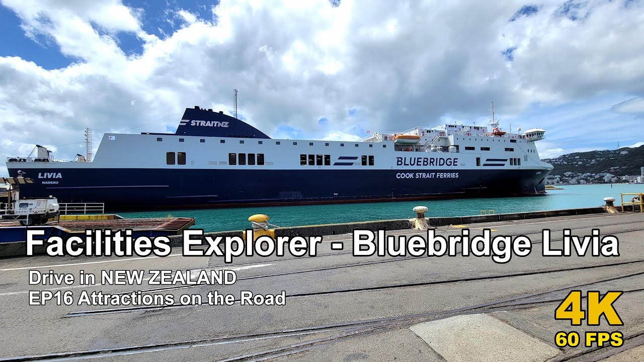 POV Drive in New Zealand EP16 Attractions Walk | On Bluebridge Ferry Livia Wellington to Picton 4K