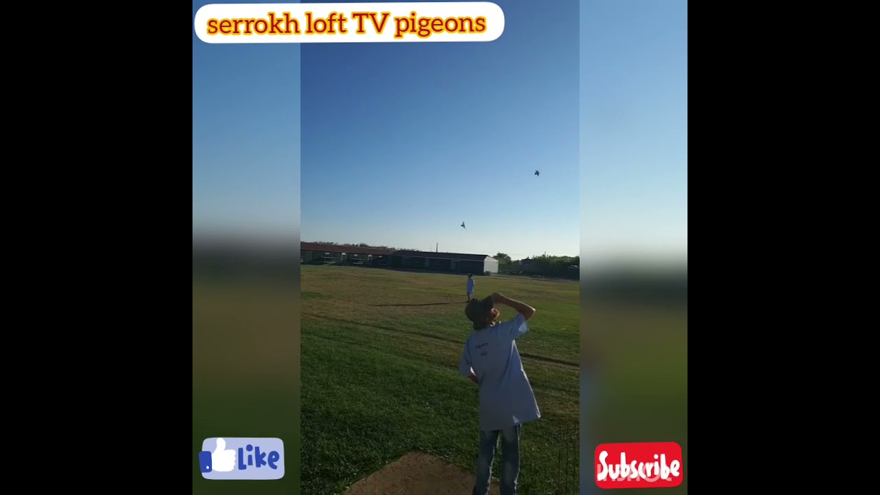 سباق 100km لديربي Golde Algarve2021        17_082021