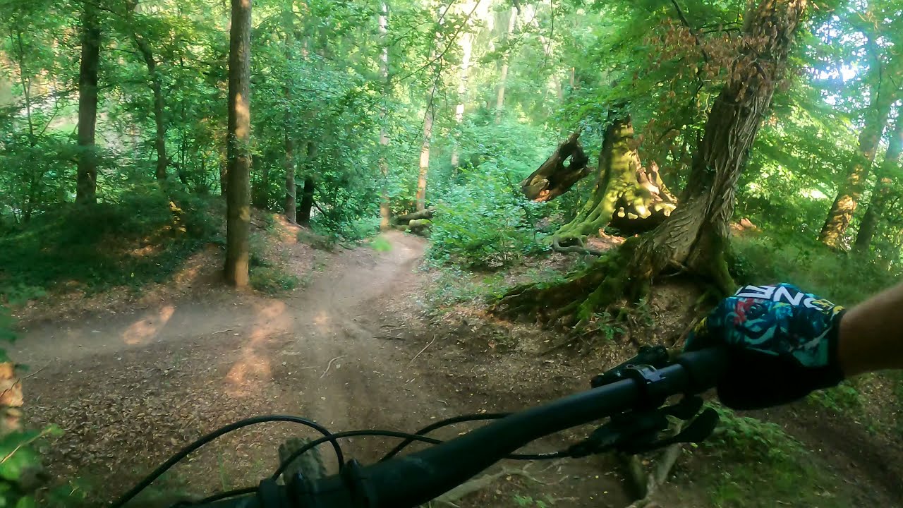 Kurzer Trail für wenig Zeit | Hasenpfad - Singletrail Neuwied | Endlich schönes Wetter | GoPro9 [4K]