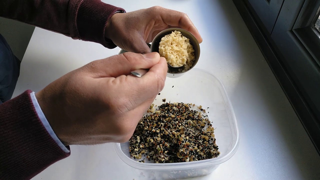 HUMEDECEDORES DE PASTAS DE CRÍA - ALIMENTOS COMPLETOS