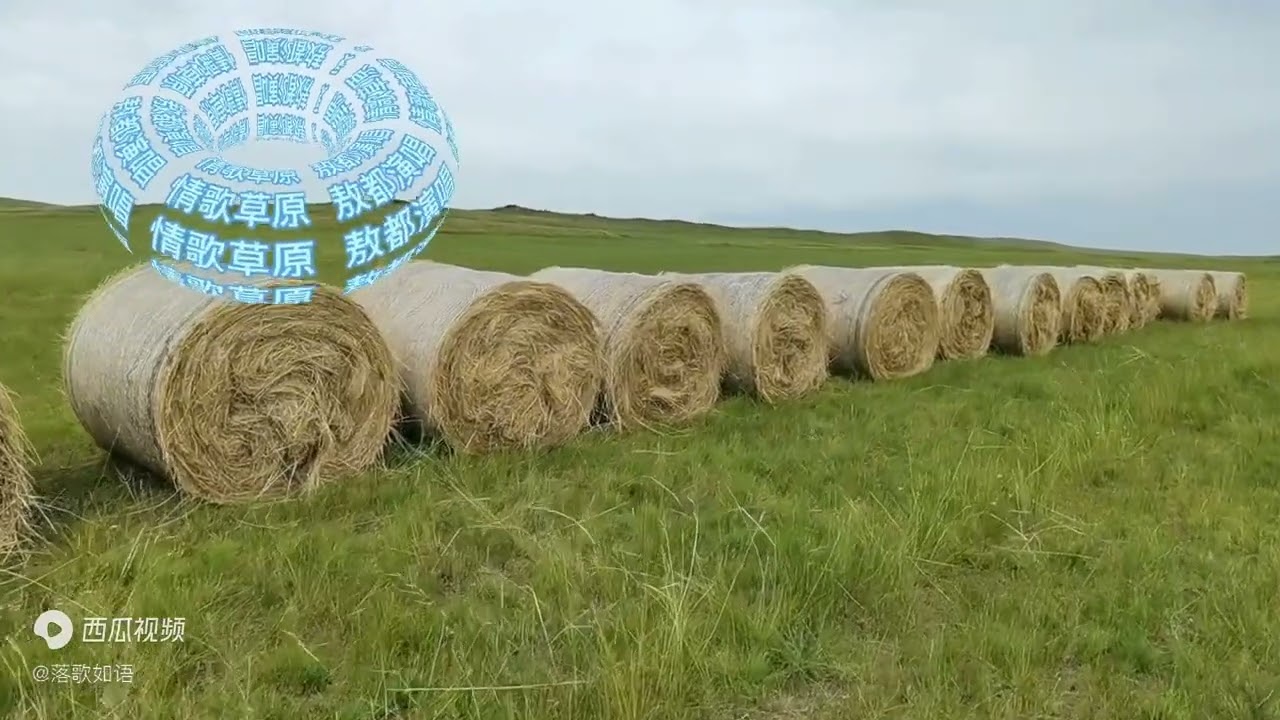《情歌草原》敖都
