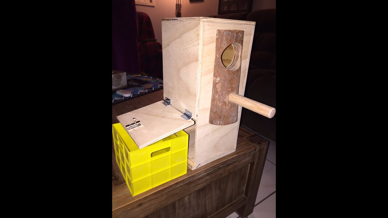 Building a lorikeet nesting box