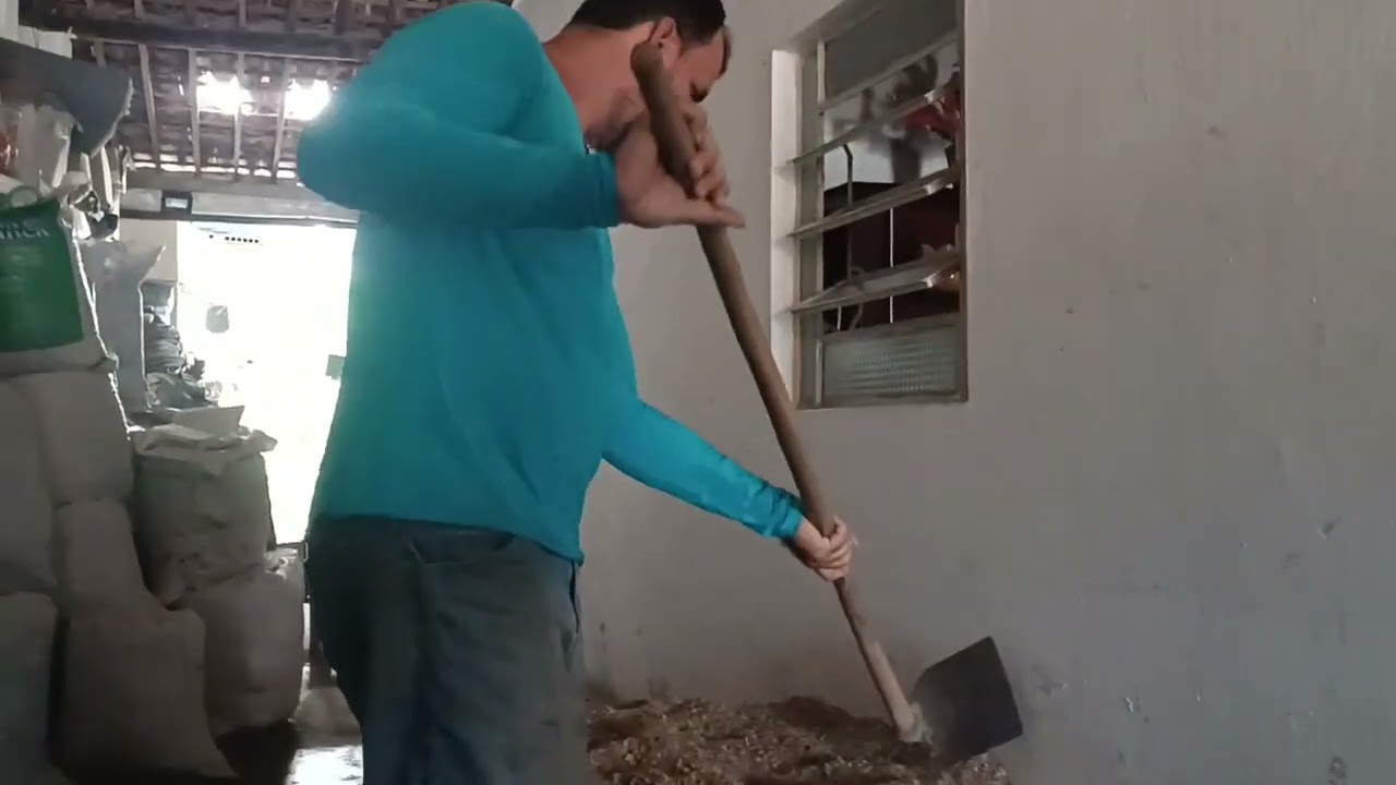 Trabalhando pesado + visita de Cauã Guilherme.
