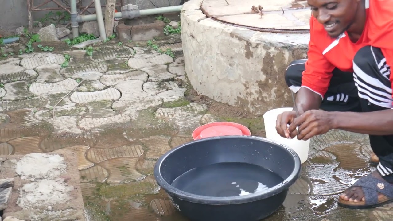 How I Vaccinate My Bird with Gumboro Vaccine to Ensure Adequate Protection Against Infectious Bursal