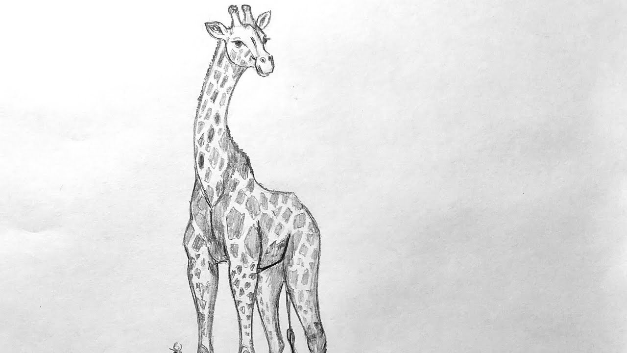 Epic Giraffe Drawing 🦒 | Easy & Stunning Art Tutorial