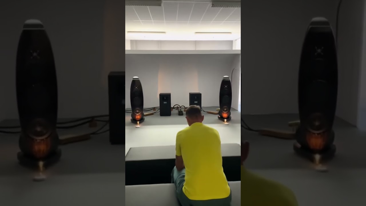 Audiophile stereo system #hiend #hifi #dj #music #audio #speaker