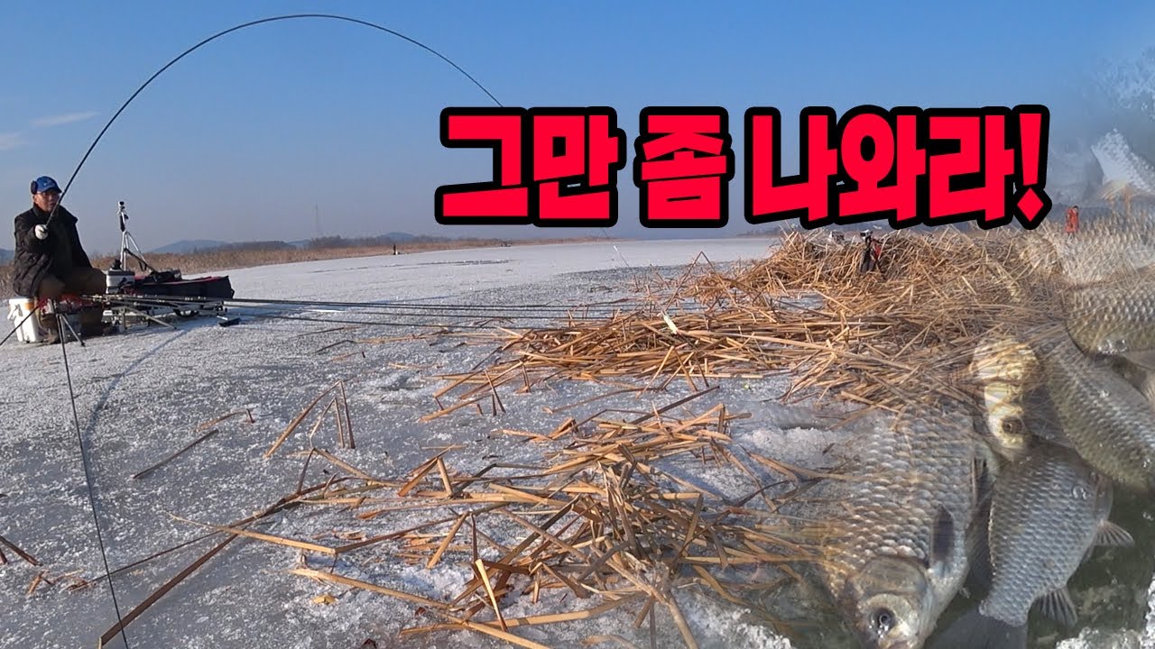 가온[붕어얼음낚시]Ver43. 온 종일 쉴 새 없이 휘여지는 낚시대...얼음낚시!