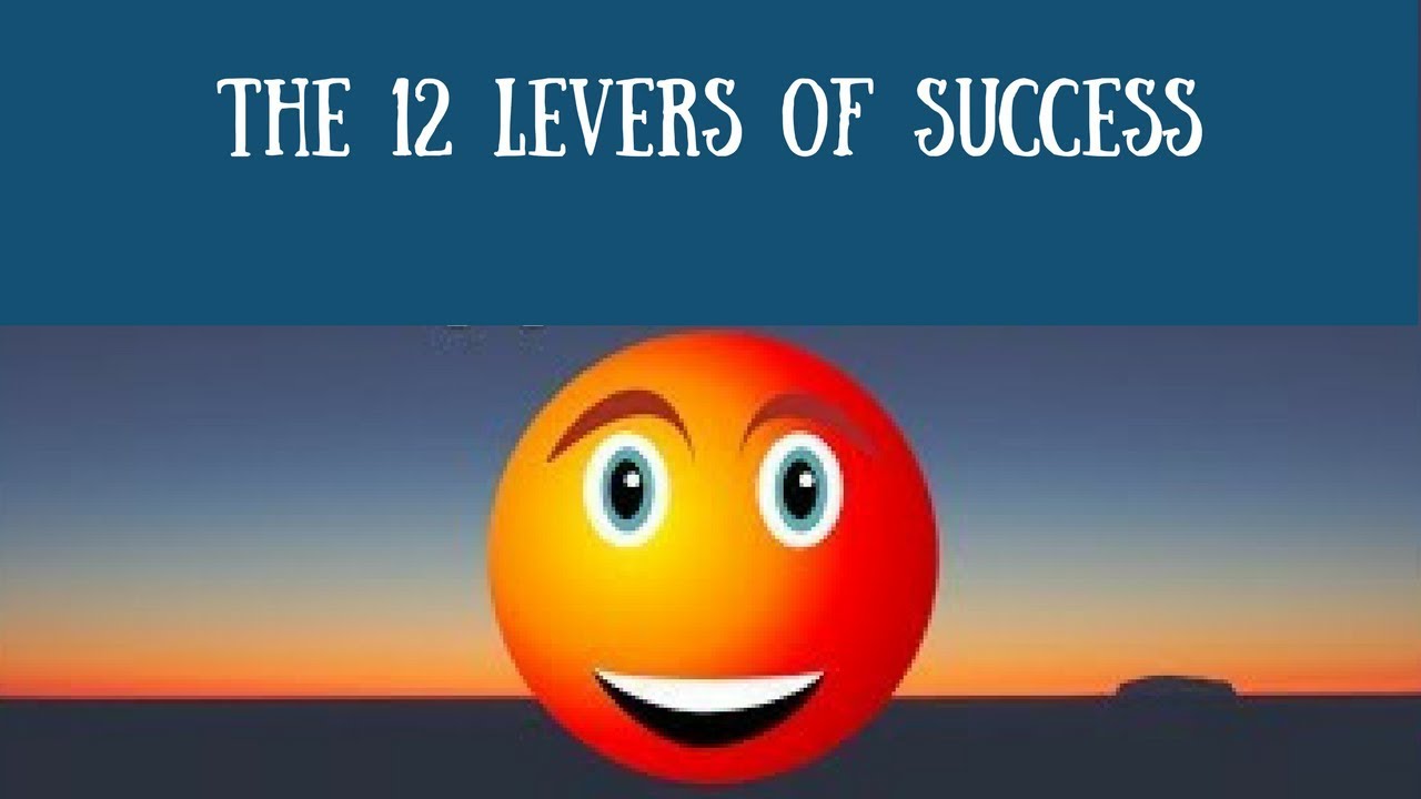 The 12 Levers Of Success 