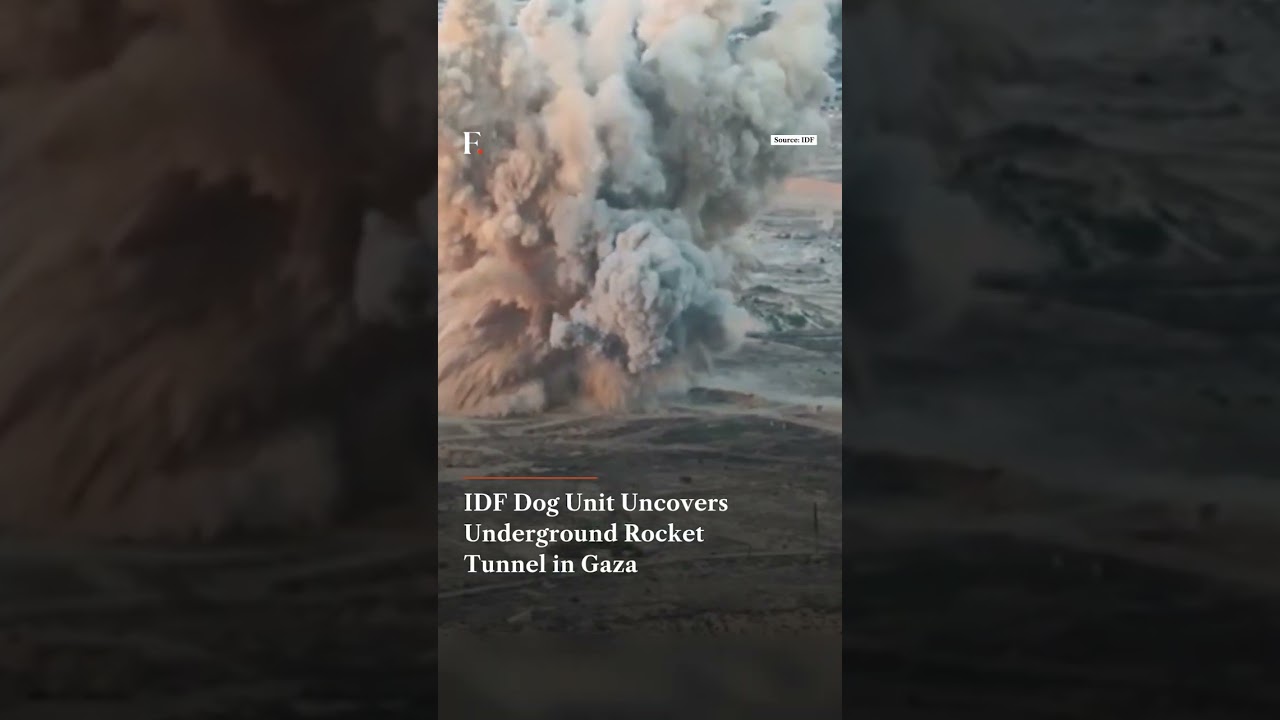 IDF Dog Unit Uncovers Underground Rocket Tunnel in Gaza | Firstpost News
