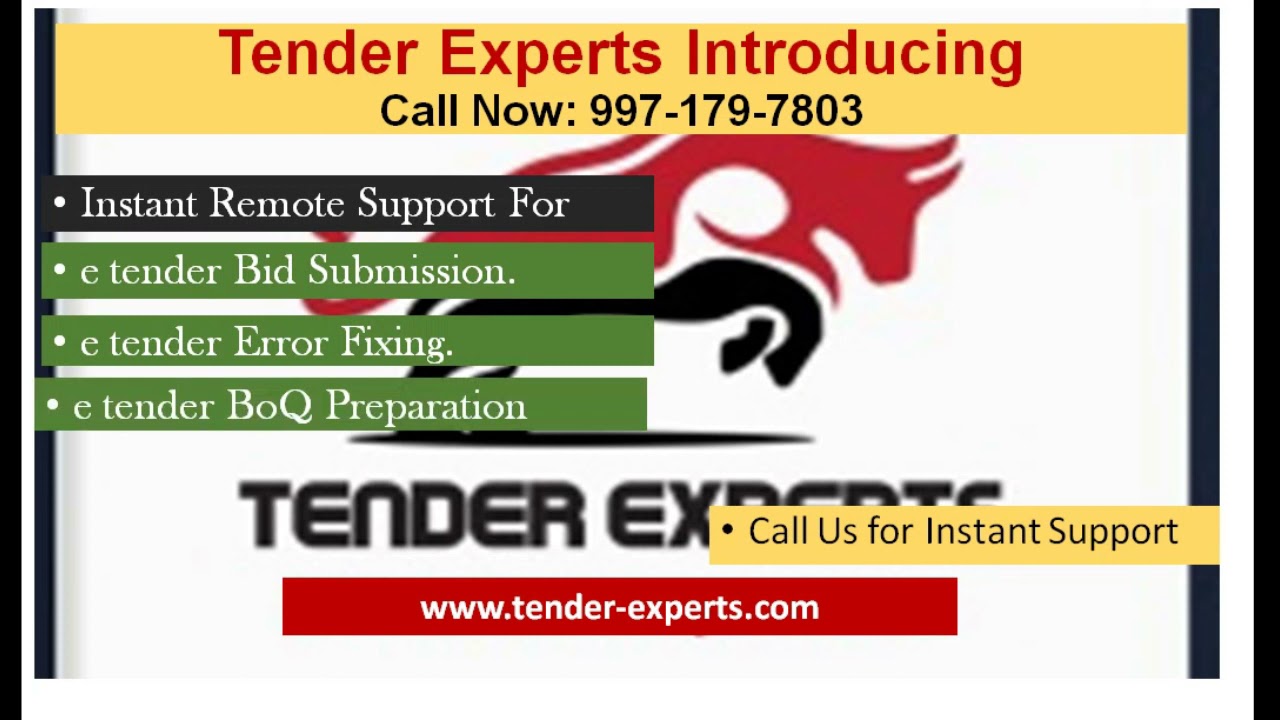 Tender Experts Services Introduction