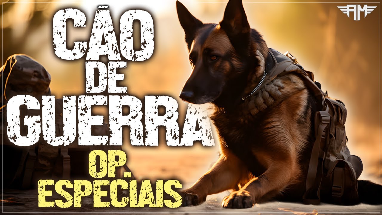 CAIRO, O C&Atilde;O DE GUERRA: A BATALHA PARA SALVAR O C&Atilde;O QUE CA&Ccedil;ARIA BIN LADEN