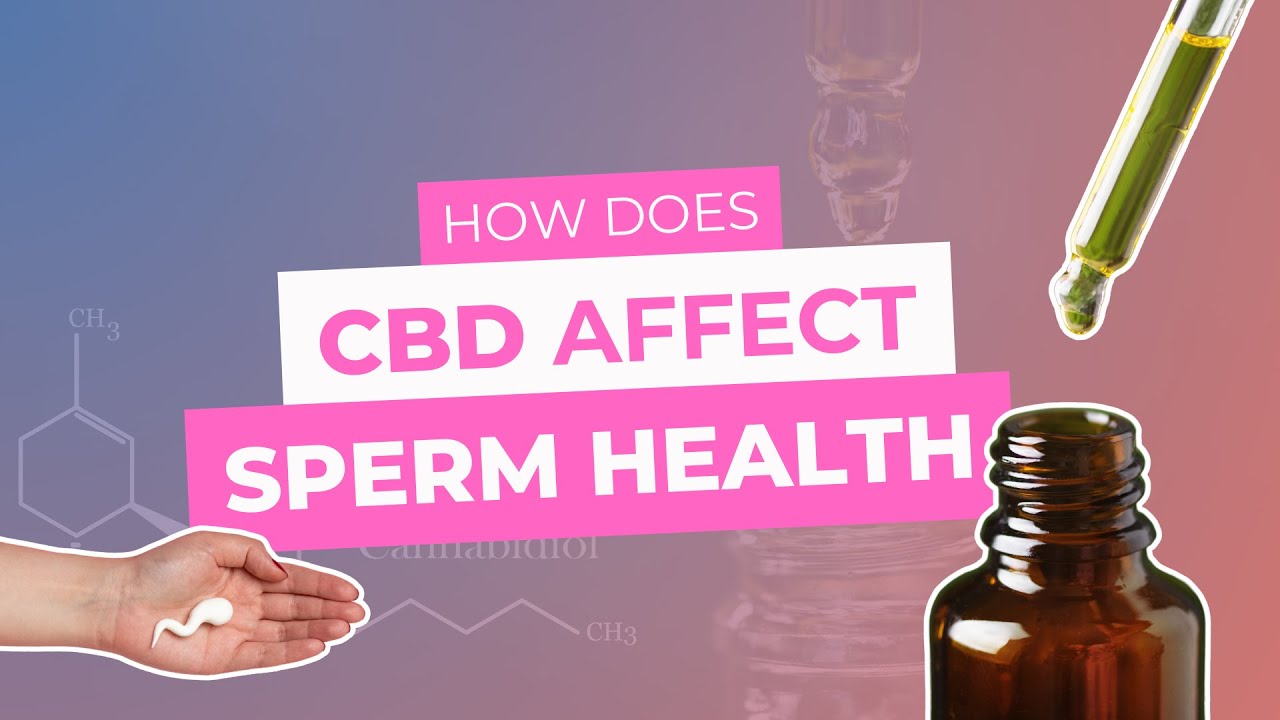 How does CBD affect sperm?