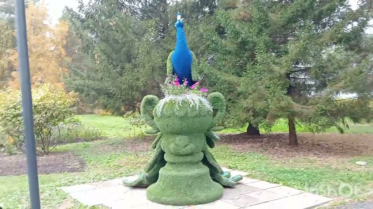 Санаторий 