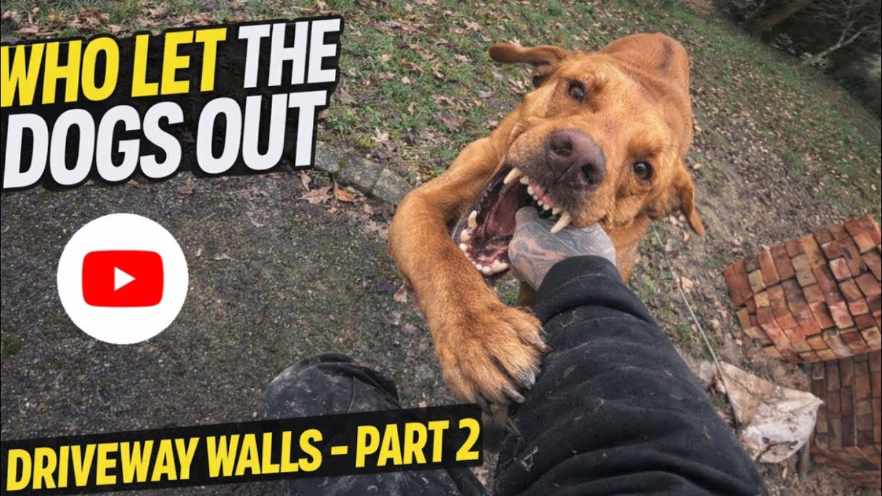 Who let the dogs out? Driveway entrance walls part 2 