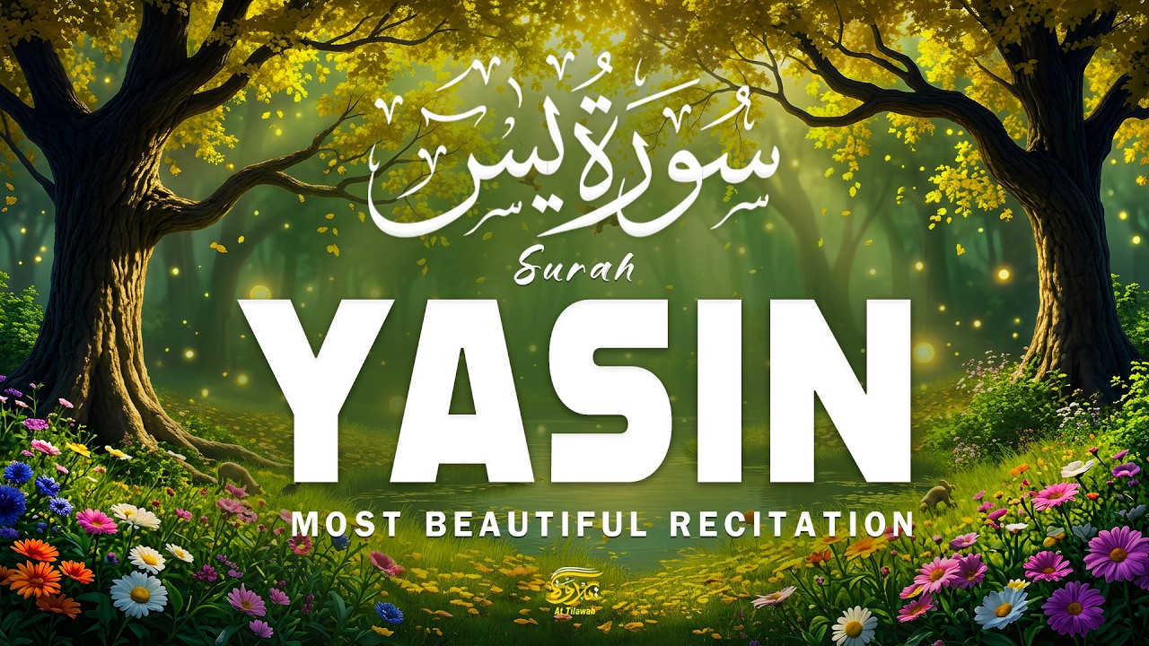 Surah Yaseen (سورة يس) | Soothing Quran Tilawah for Inner Peace & Reflection | Alaa Aqel#surahyaseen