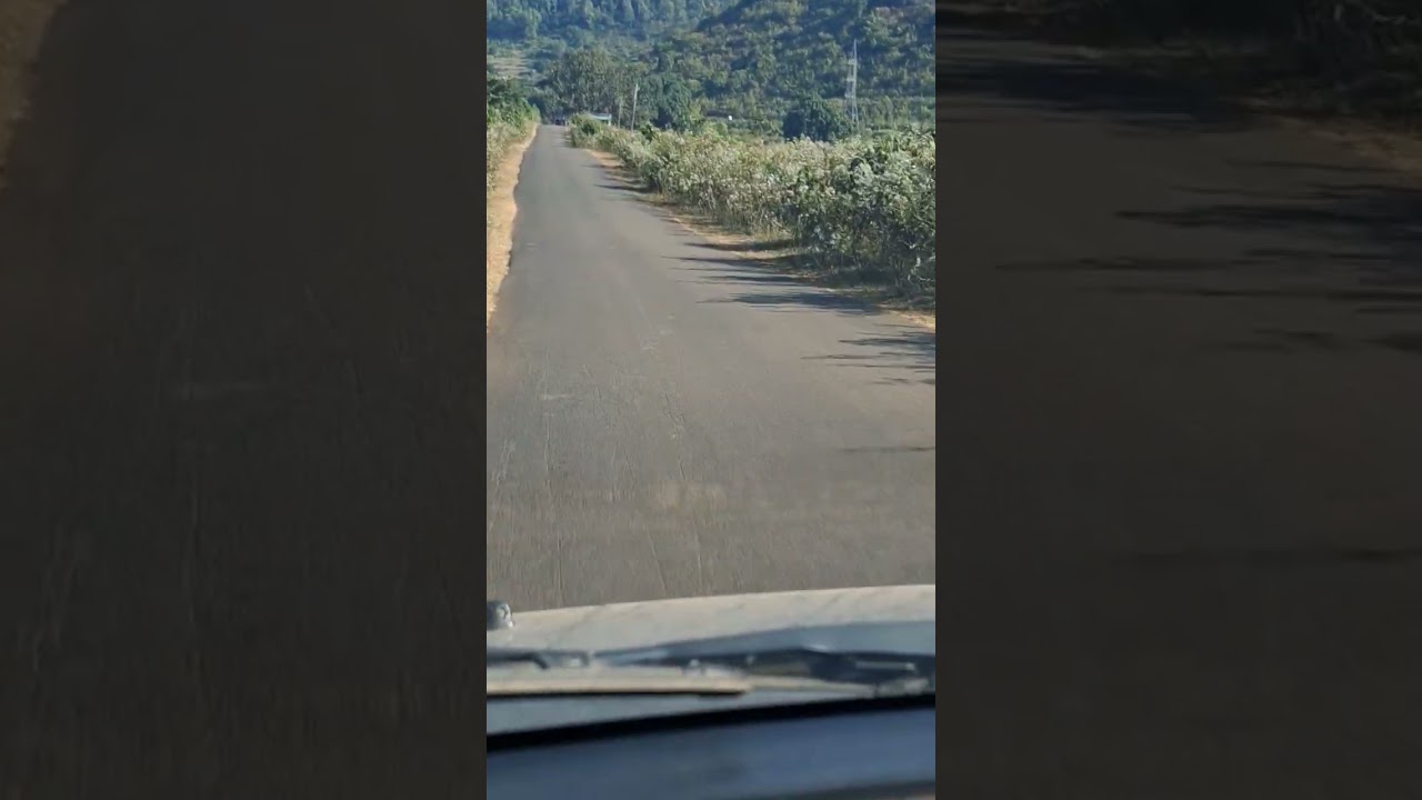 vlog video 