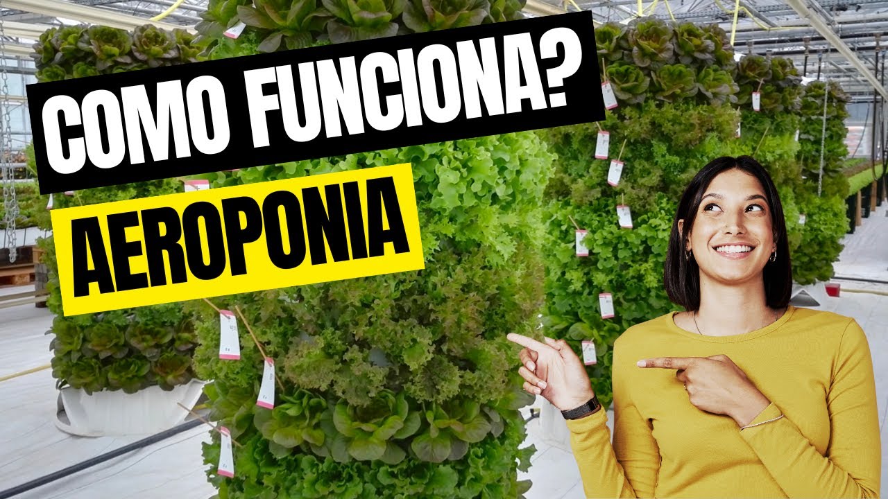 Torre de Aeroponia, como funciona?