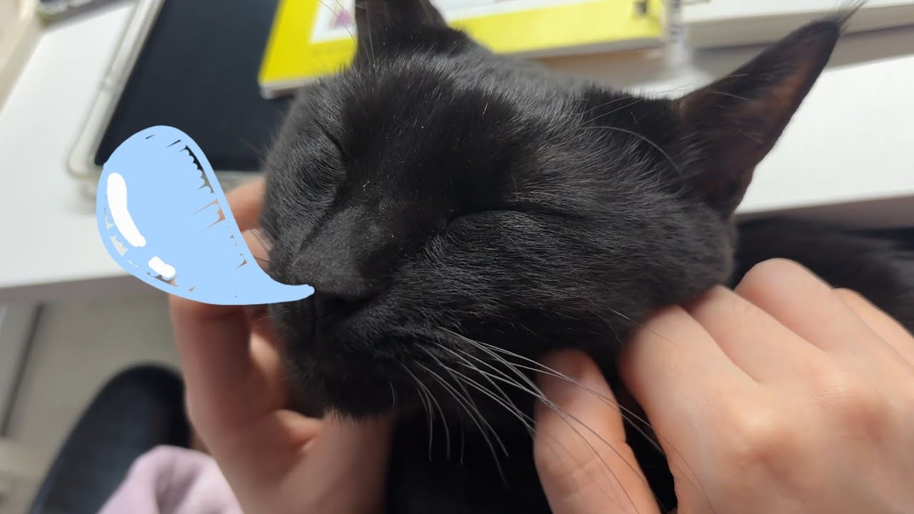 잠꼬대하는 까만 덩어리