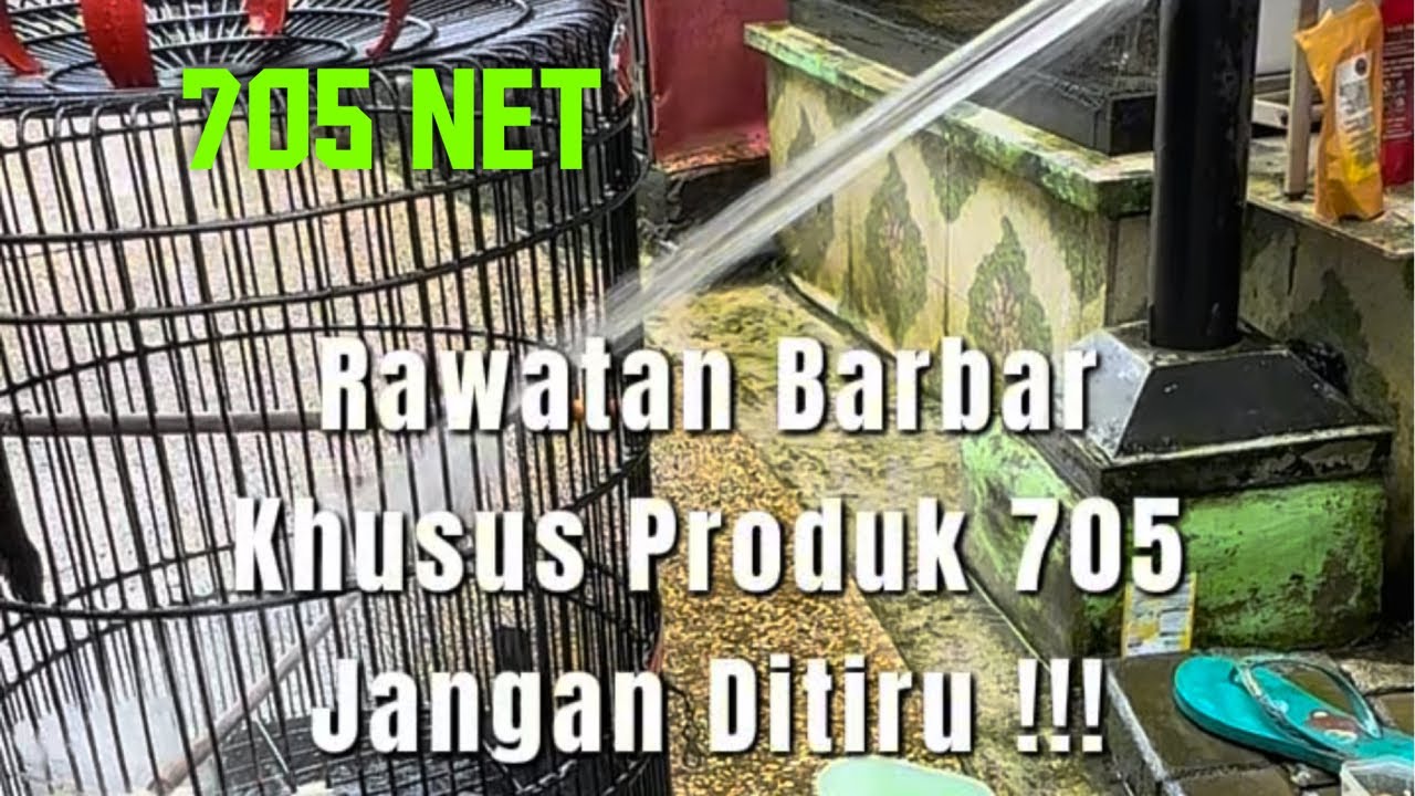 Mandi Sore Disemprot Selang ,  Minumnya Air Keran 😈😈😈