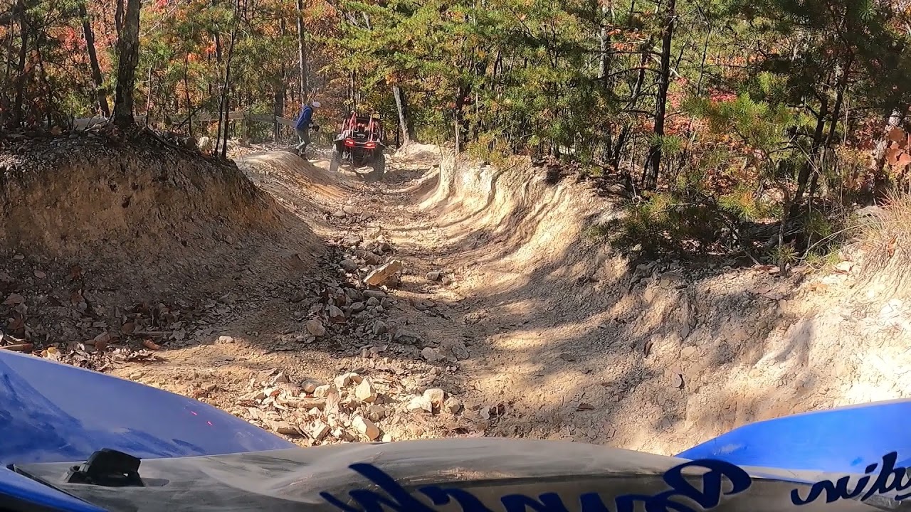 Uwharrie National Forest