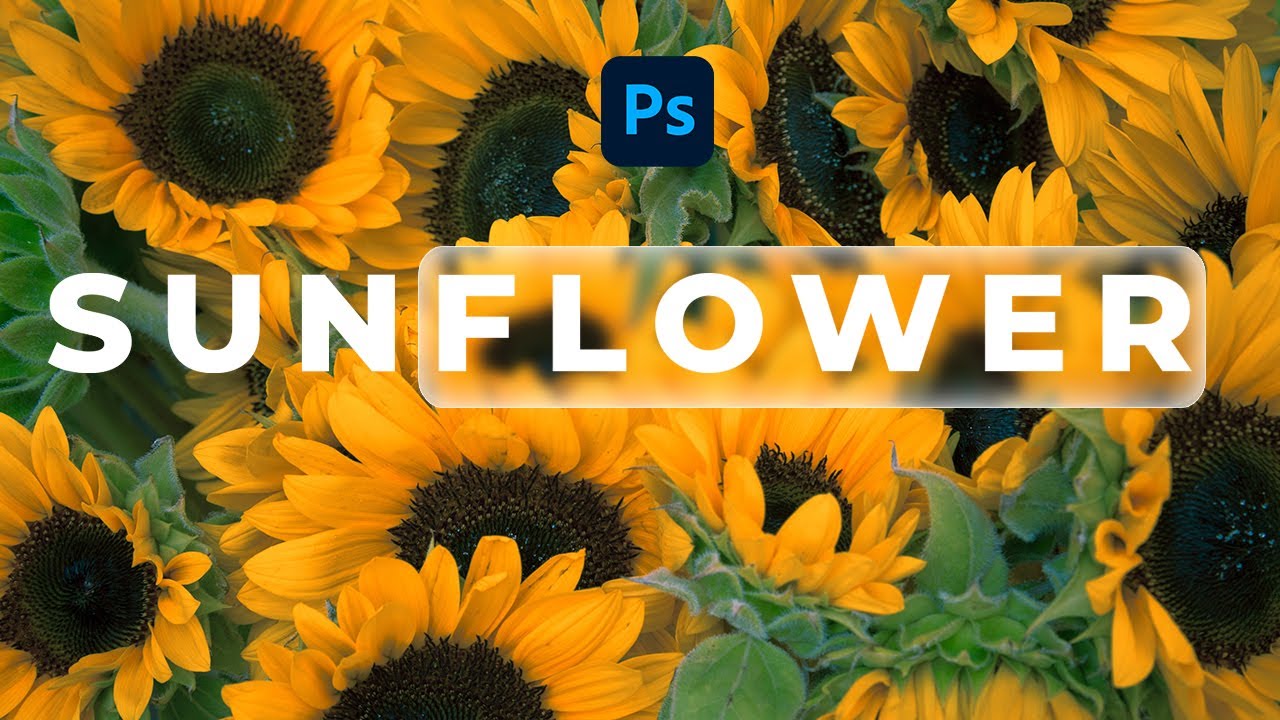 Efecto de cristal para tus diseños | #photoshop #redessociales #redessociales #ads #diseñografico